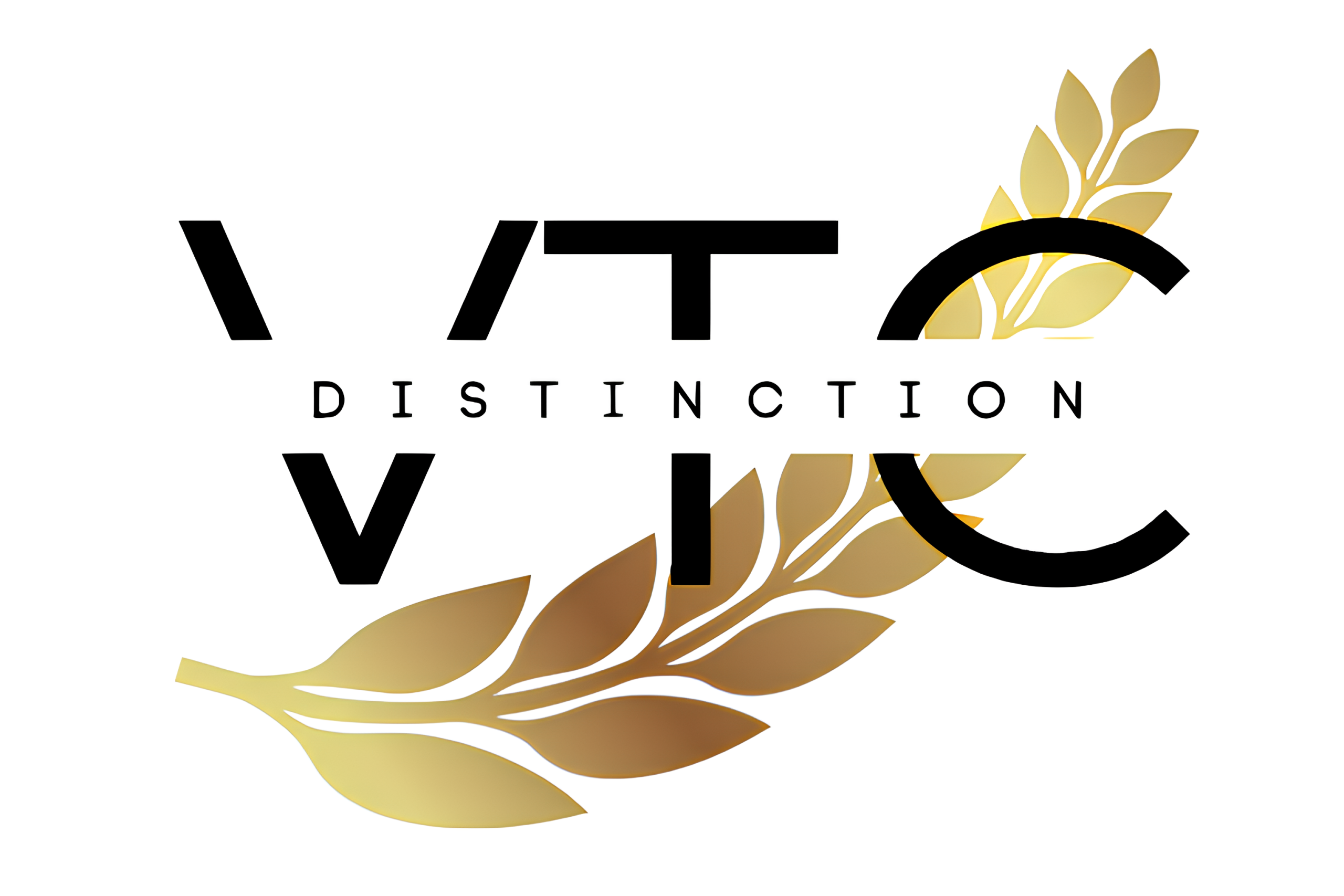 Chauffeur VTC à Cannes – VTC DISTINCTION, service haut de gamme